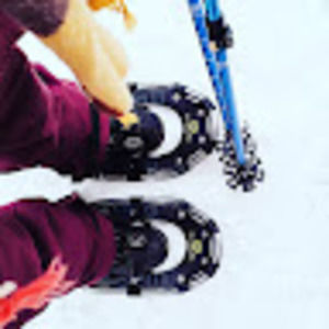 Meet your Posher, Holly